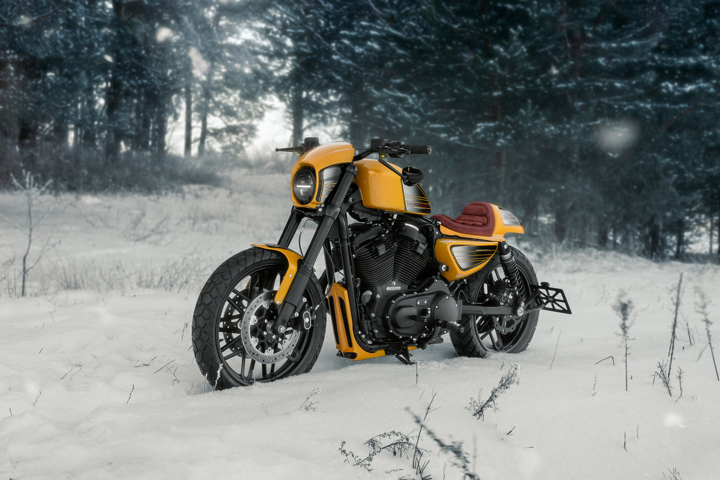 Harley Davidson motorcycle with Killer Custom license plate bracket from the side on a snowy day in the forest