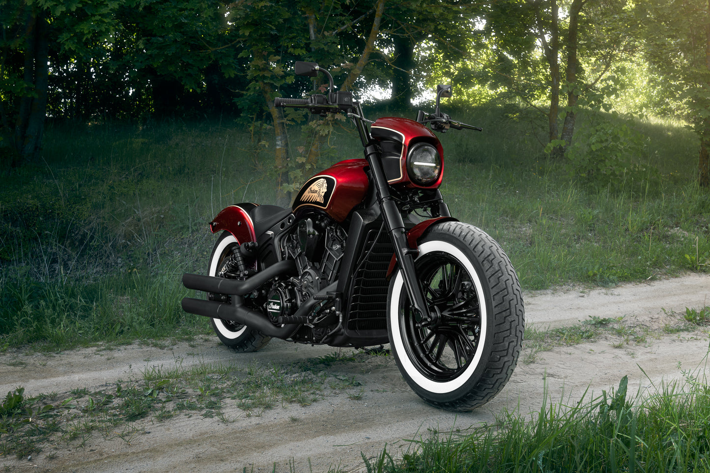 Harley Davidson motorcycle with Killer Custom "Tomahawk" full fork covers set from the front in the forest on a sunny day