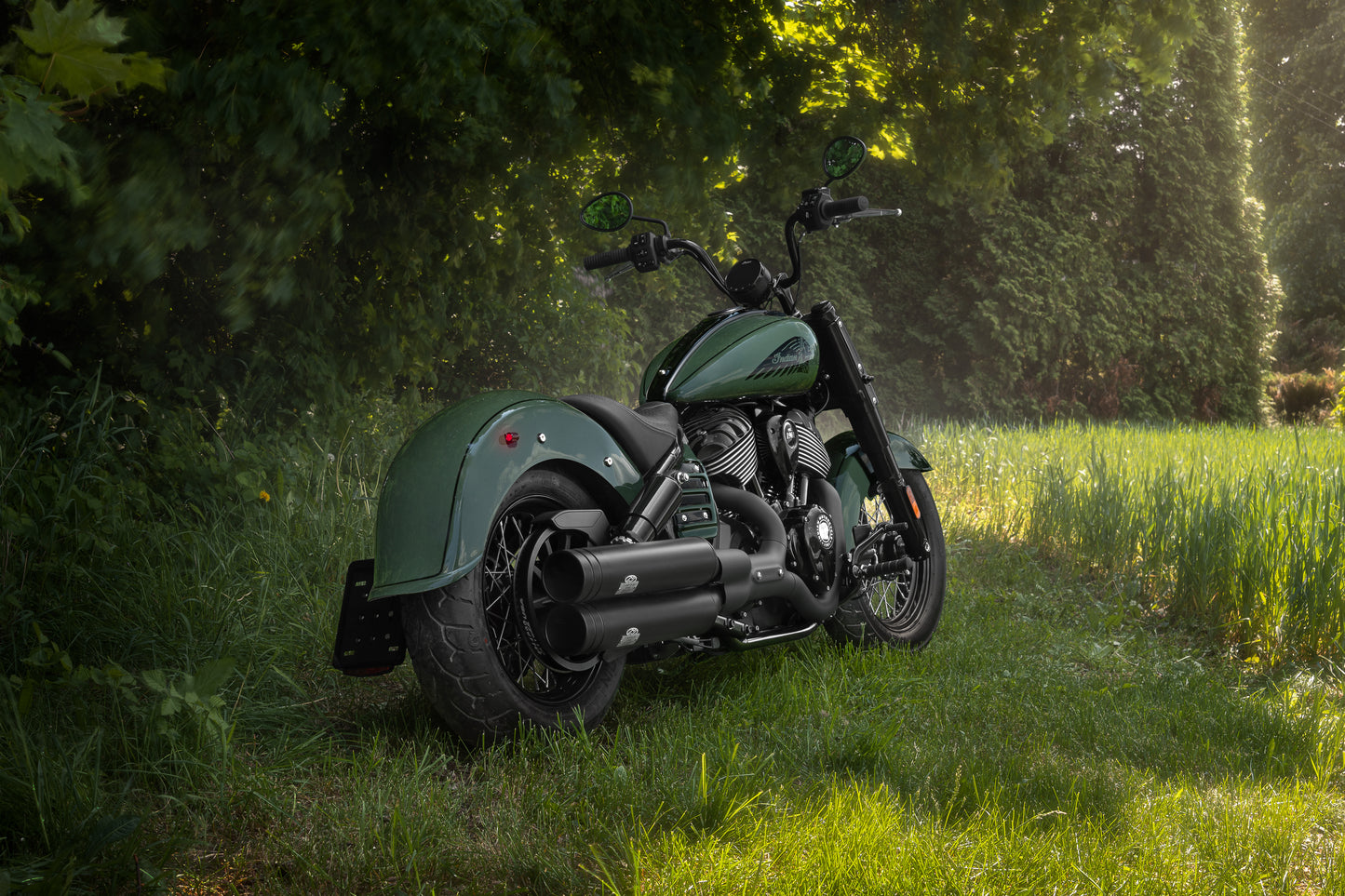 Harley Davidson motorcycle with Killer Custom "Apache" rear fender from the rear in the forest on a sunny day
