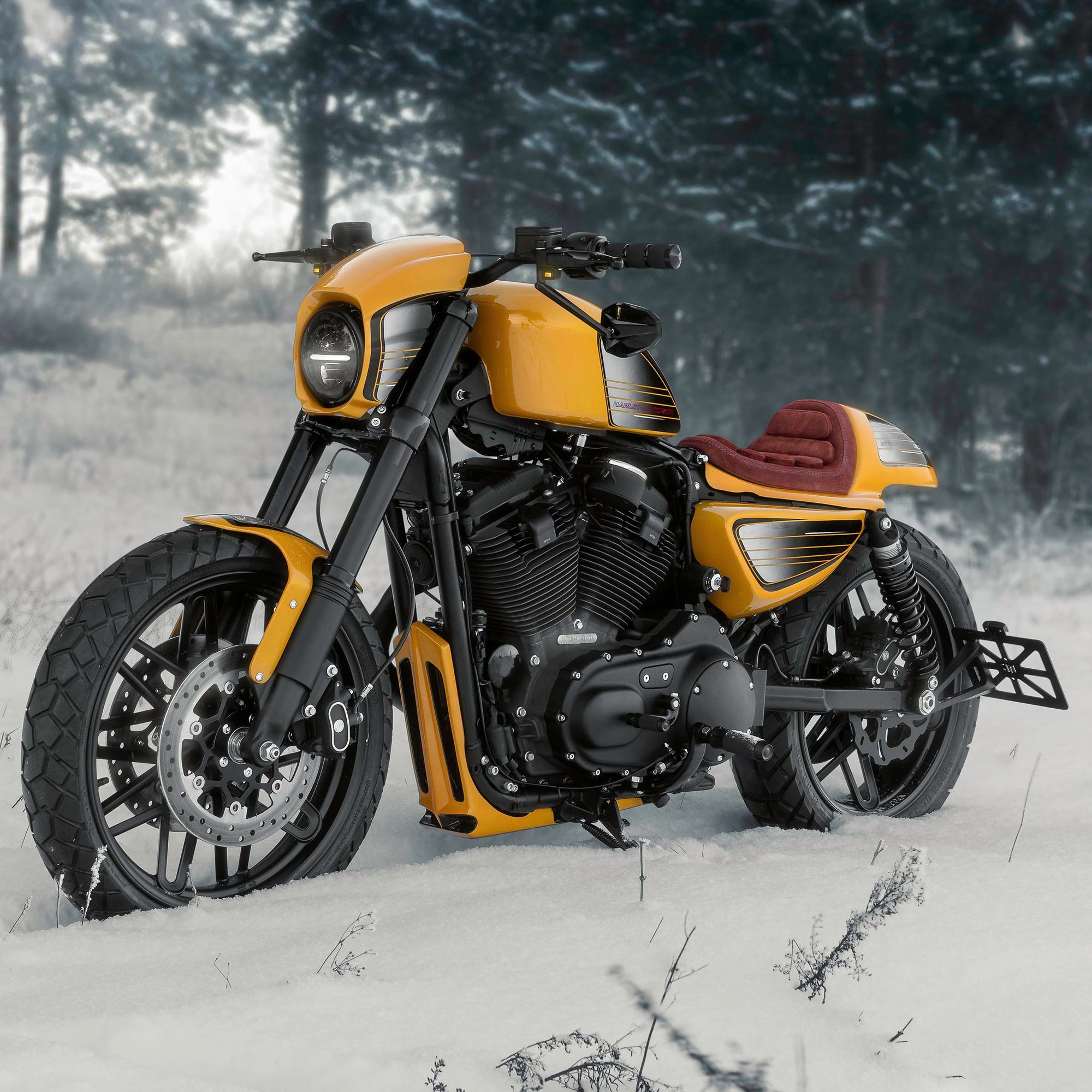 Modified Harley Davidson Roadster motorcycle with Killer Custom parts from the side in winter with some snowy trees in the background