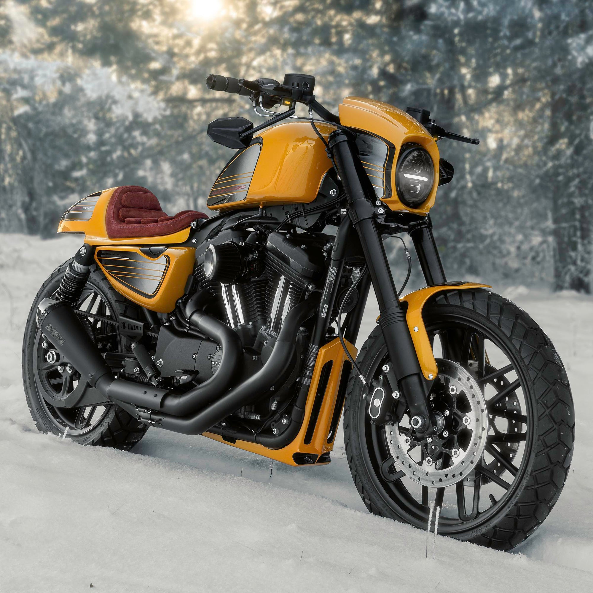 Modified Harley Davidson Roadster motorcycle with Killer Custom parts from the side outside on a sunny winter day with some snowy trees in the background
