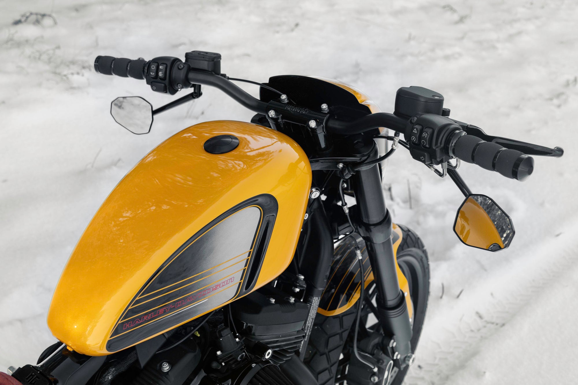 Zoomed Harley Davidson Roadster motorcycle with Killer Custom parts from the rear with some snow in the background