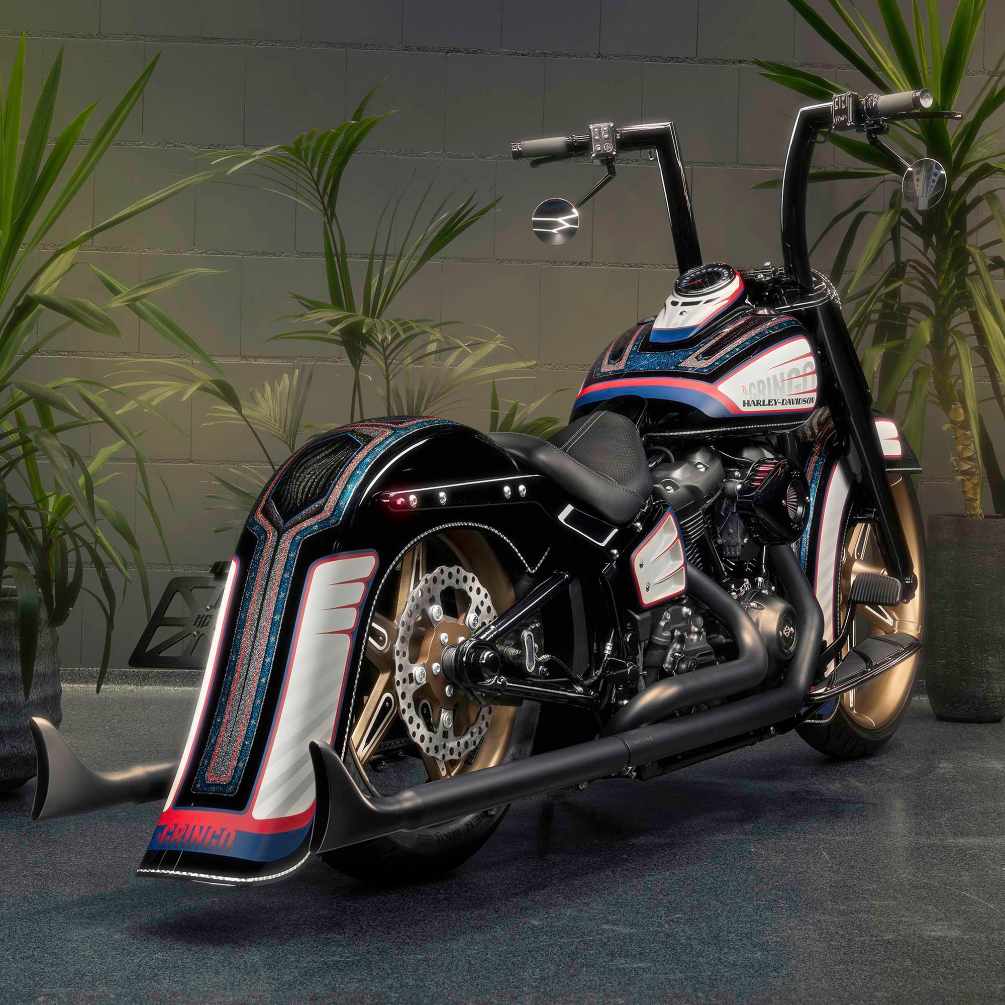 Modified Harley Davidson Heritage motorcycle with Killer Custom parts from the rear with some house plants in the background