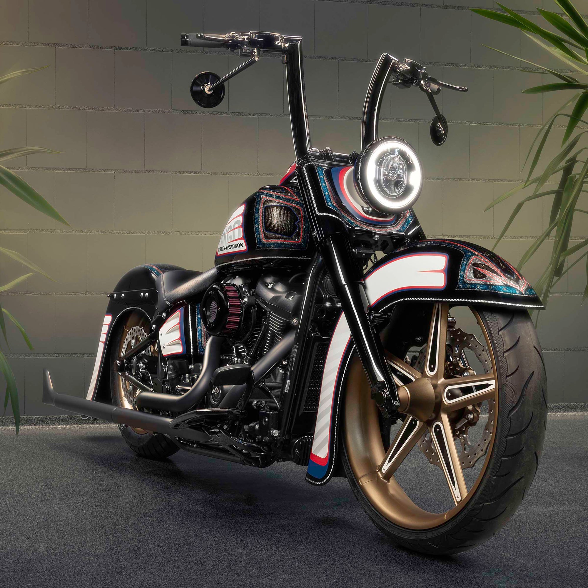 Modified Harley Davidson Heritage motorcycle with Killer Custom parts from the front with some house plants in the background