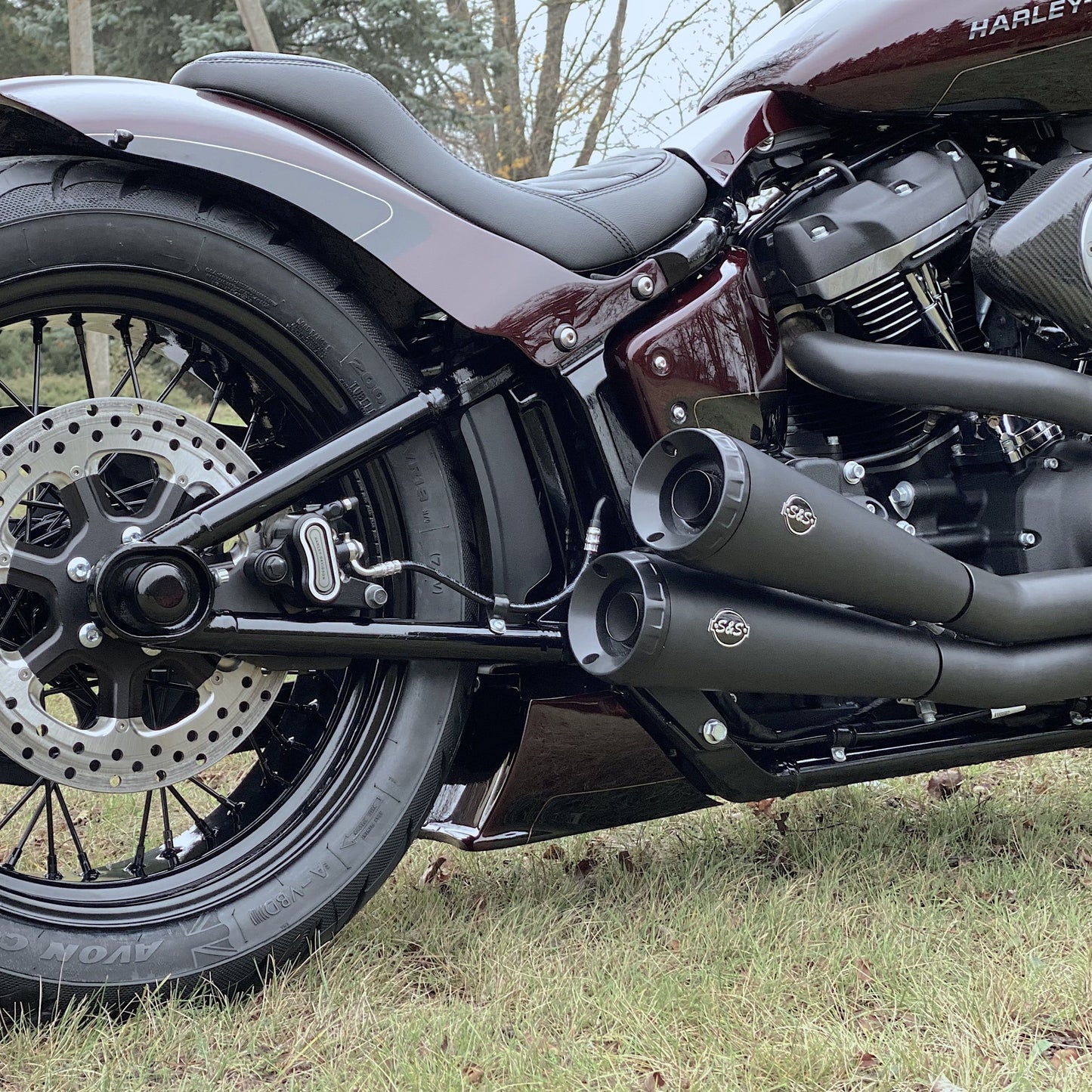 Zoomed Harley Davidson motorcycle with back frame spoiler from the side surrounded by greenery