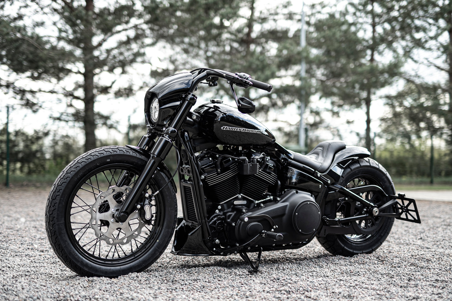 Harley Davidson motorcycle with Killer Custom front fork lowering kit from the side in a nature environment