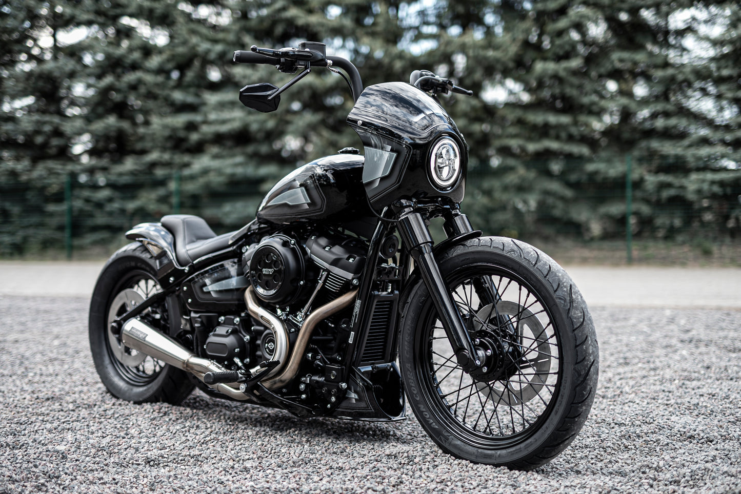 Harley Davidson motorcycle with Killer Custom front fork lowering kit from the side in a nature environment