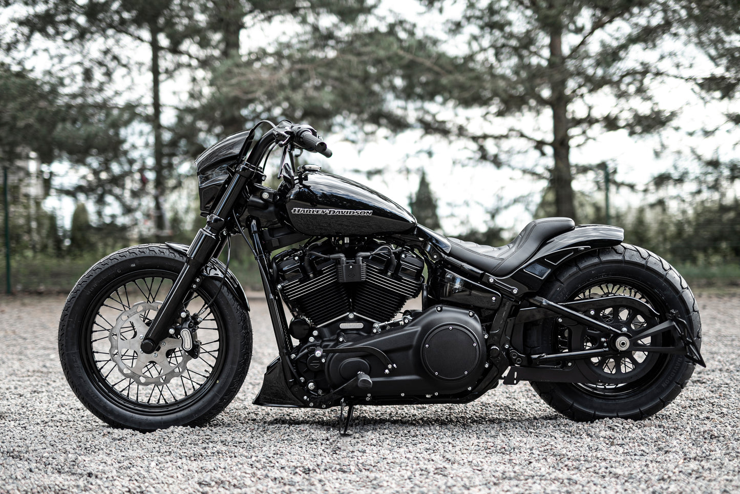 Harley Davidson motorcycle with Killer Custom front fender from the side outside with some trees in the background