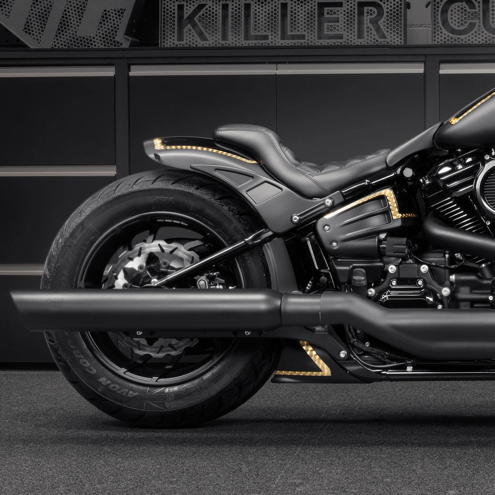 2018-2024 Harley-Davidson Softail 
