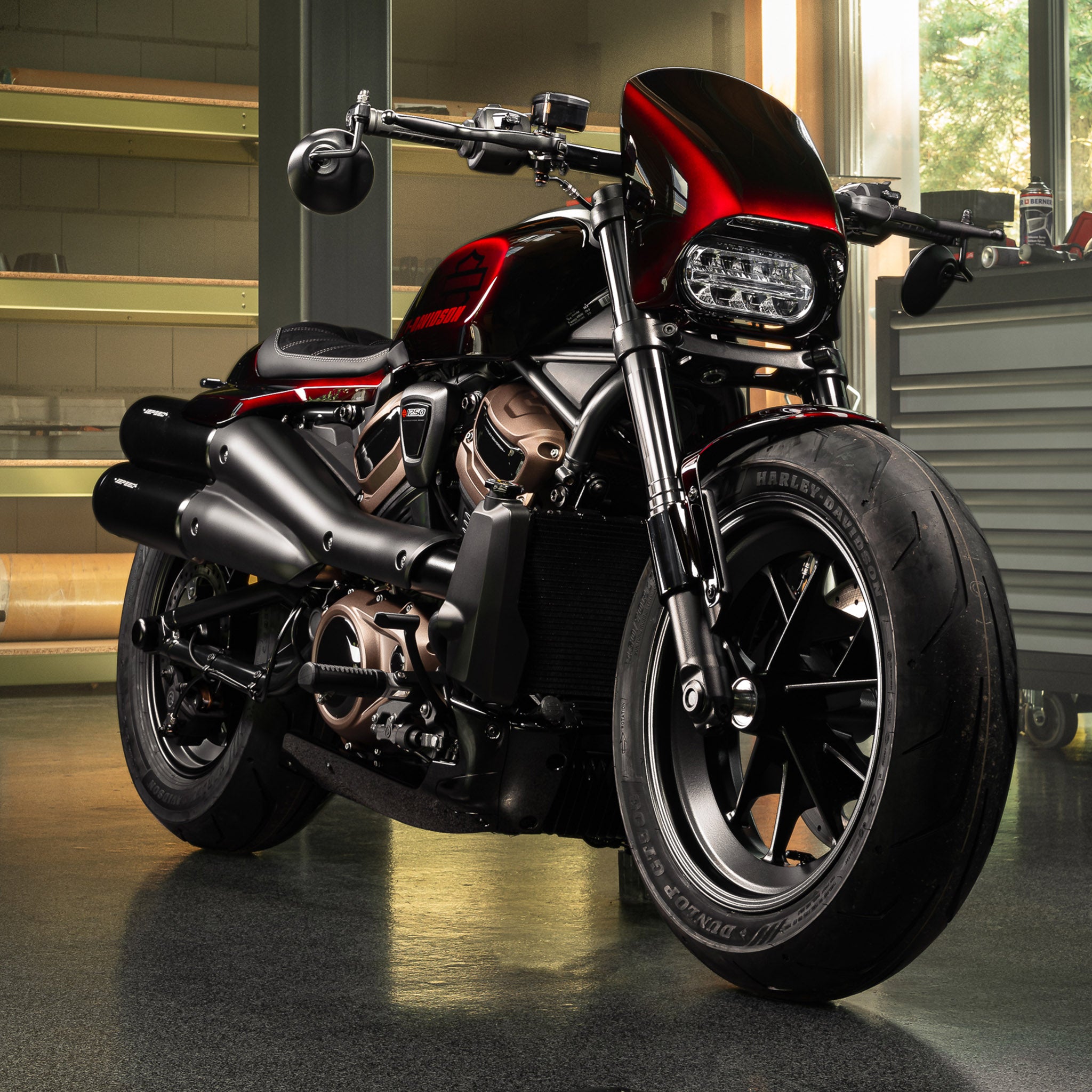 Harley-Davidson 2021-Later Sportster S 1 1/4