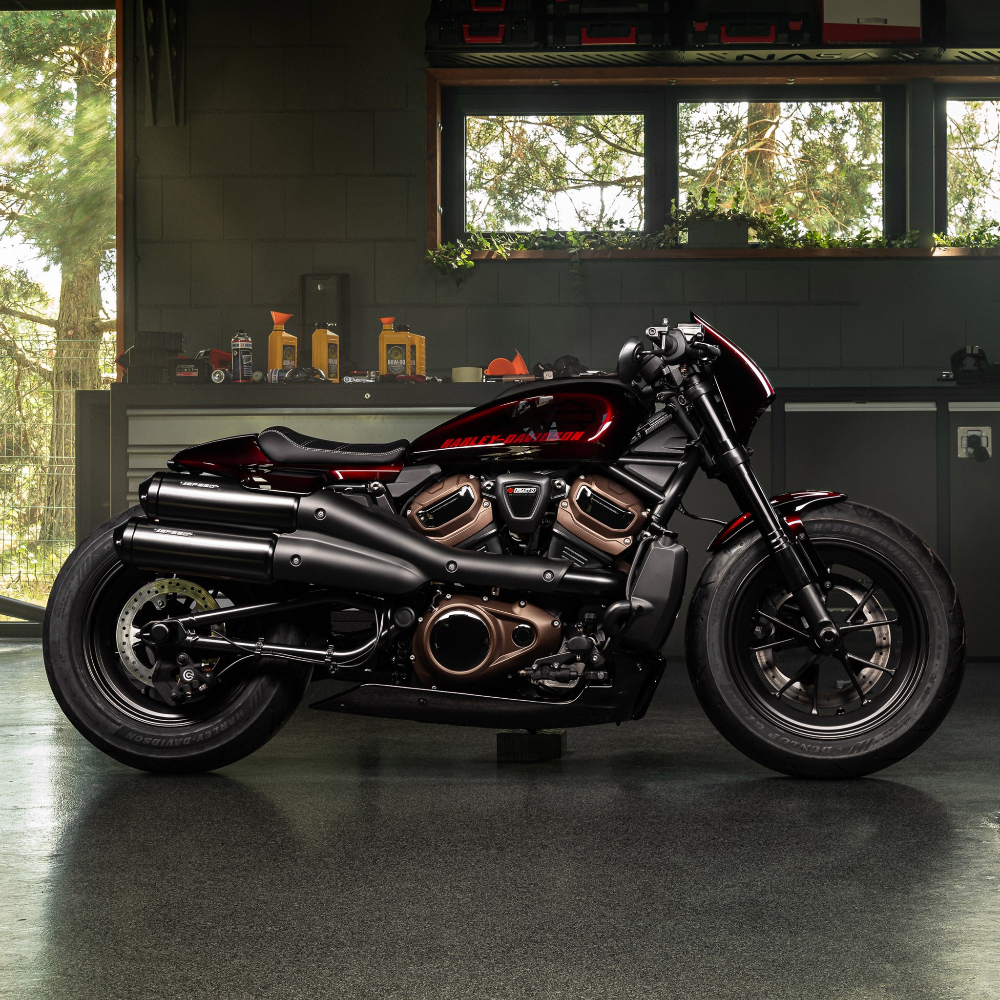 Harley-Davidson 2021-Later Sportster S 1 1/4