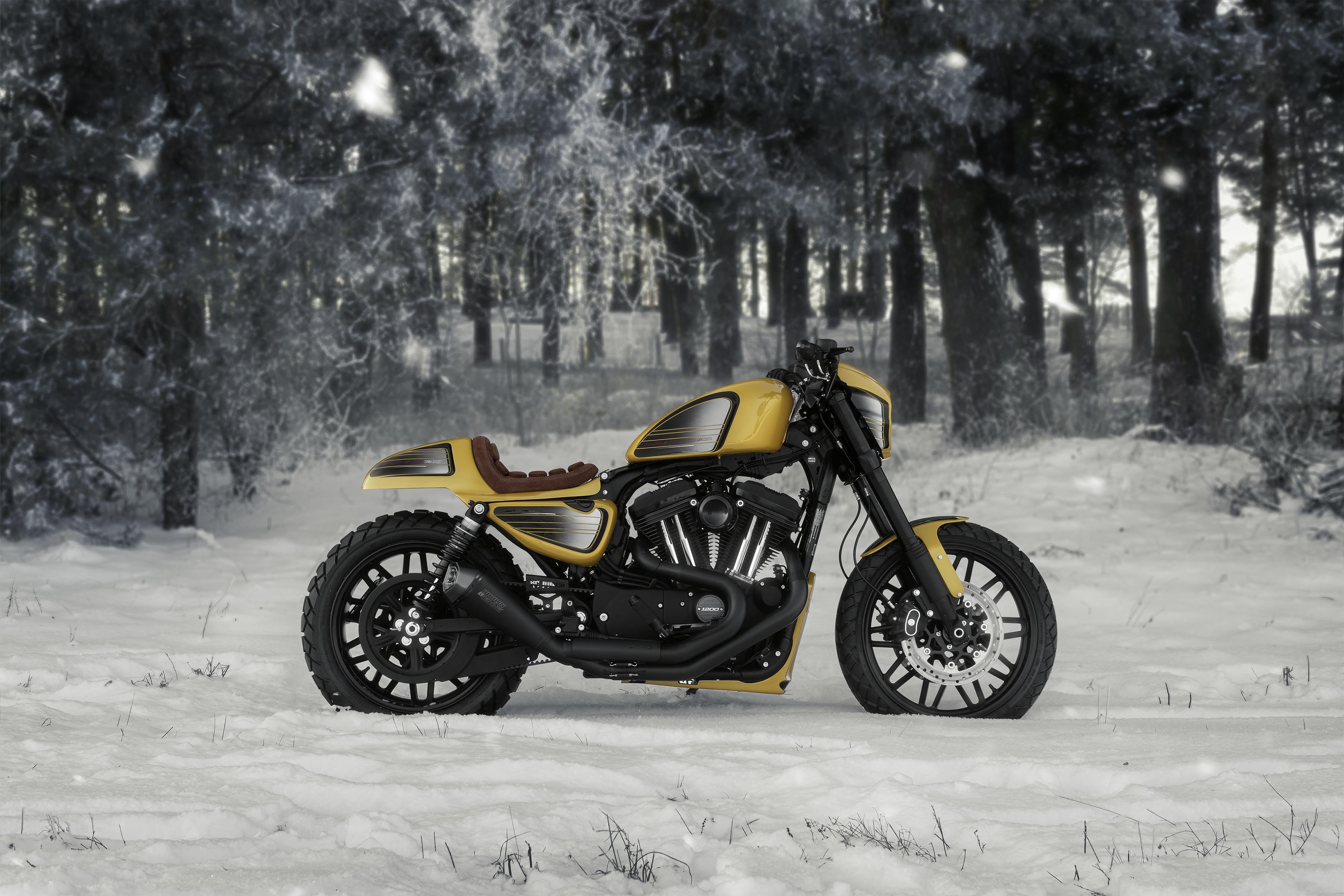 2016 Roadster XL1200CX 2016 Roadster XL1200CX