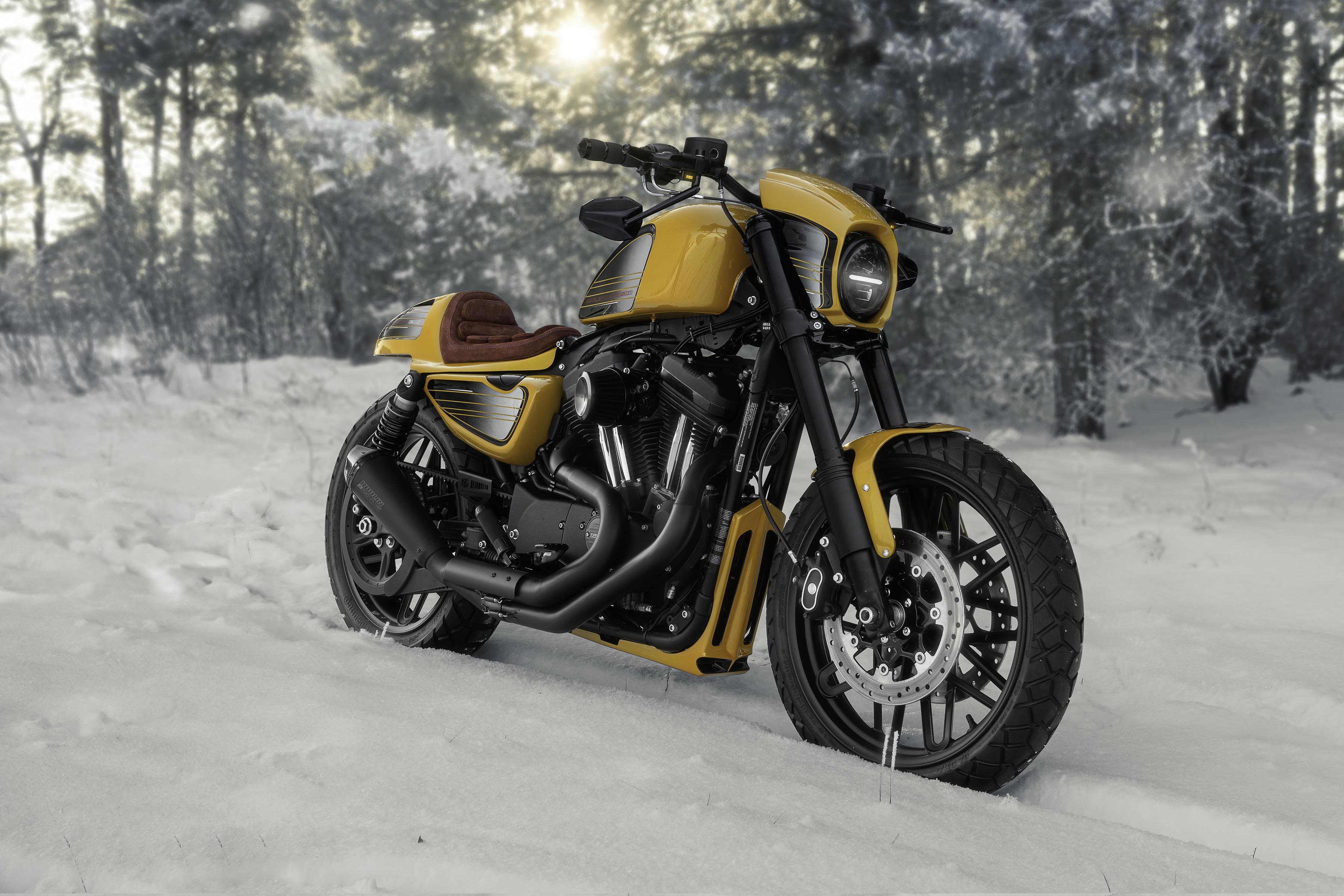 スポーツスターロードスターXL1200CXフロントホイール