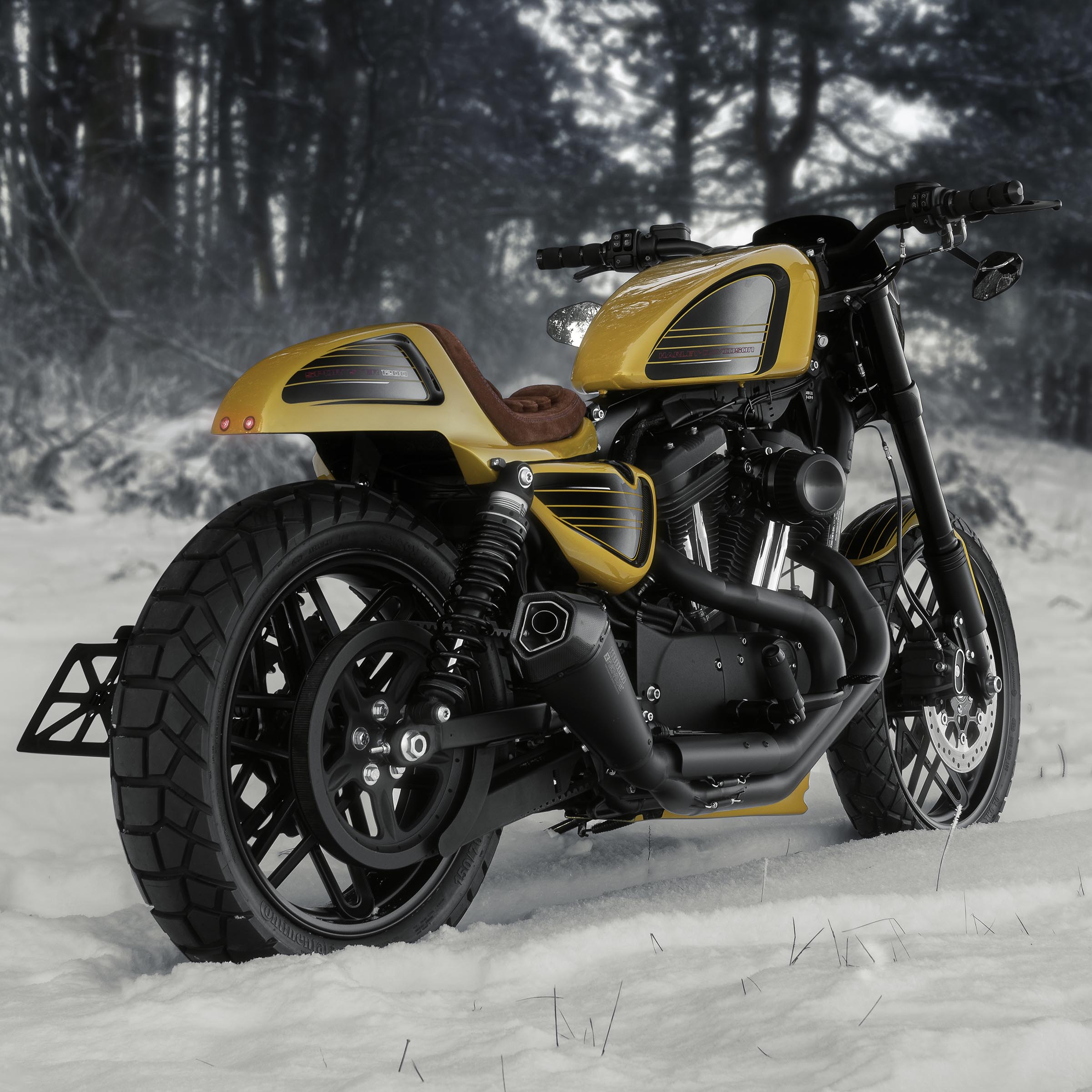 2016 Roadster XL1200CX 