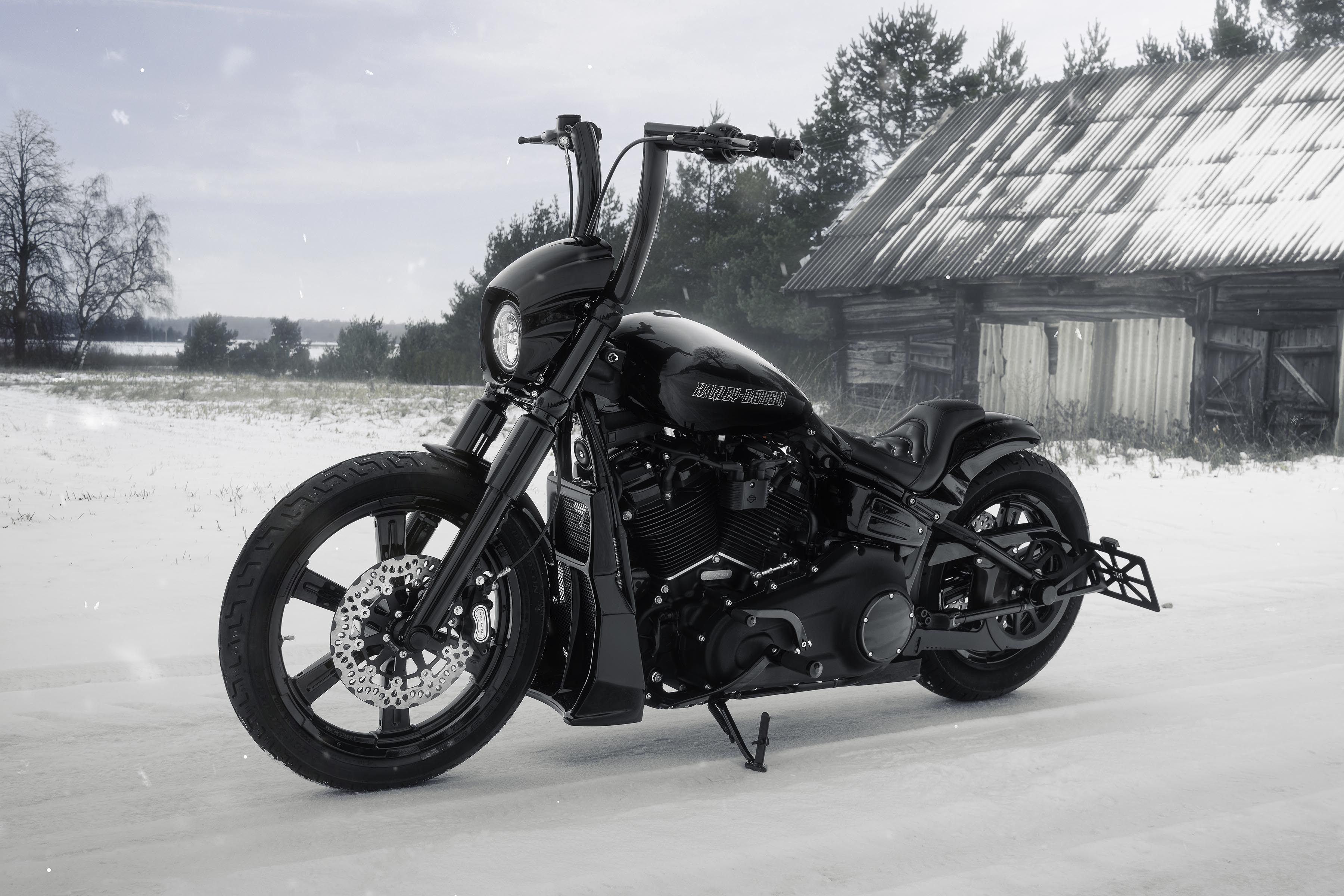 2022 Softail 