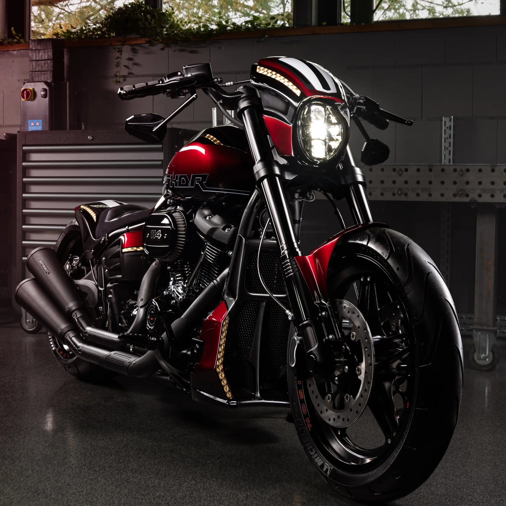 Fxdr Customized 2019 Softail FXDR 114