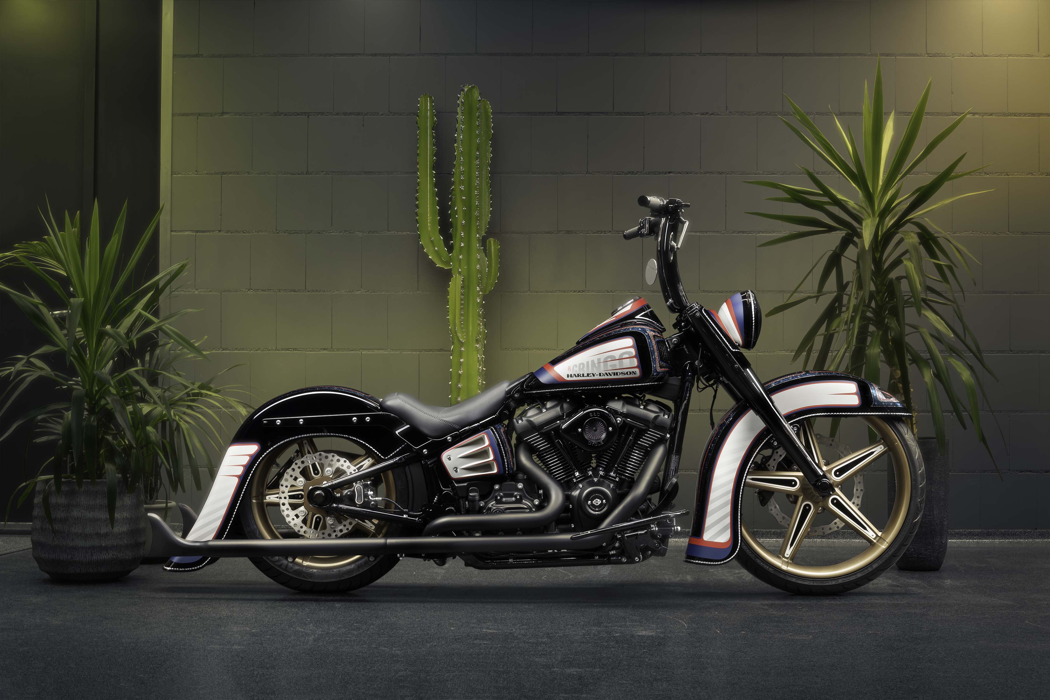 Killer Custom Harley Davidson Parts