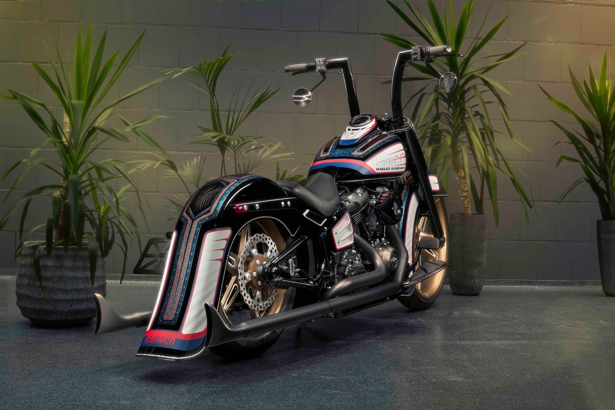 Modified Harley Davidson motorcycle with Killer Custom parts from the rear with some house plants in the background