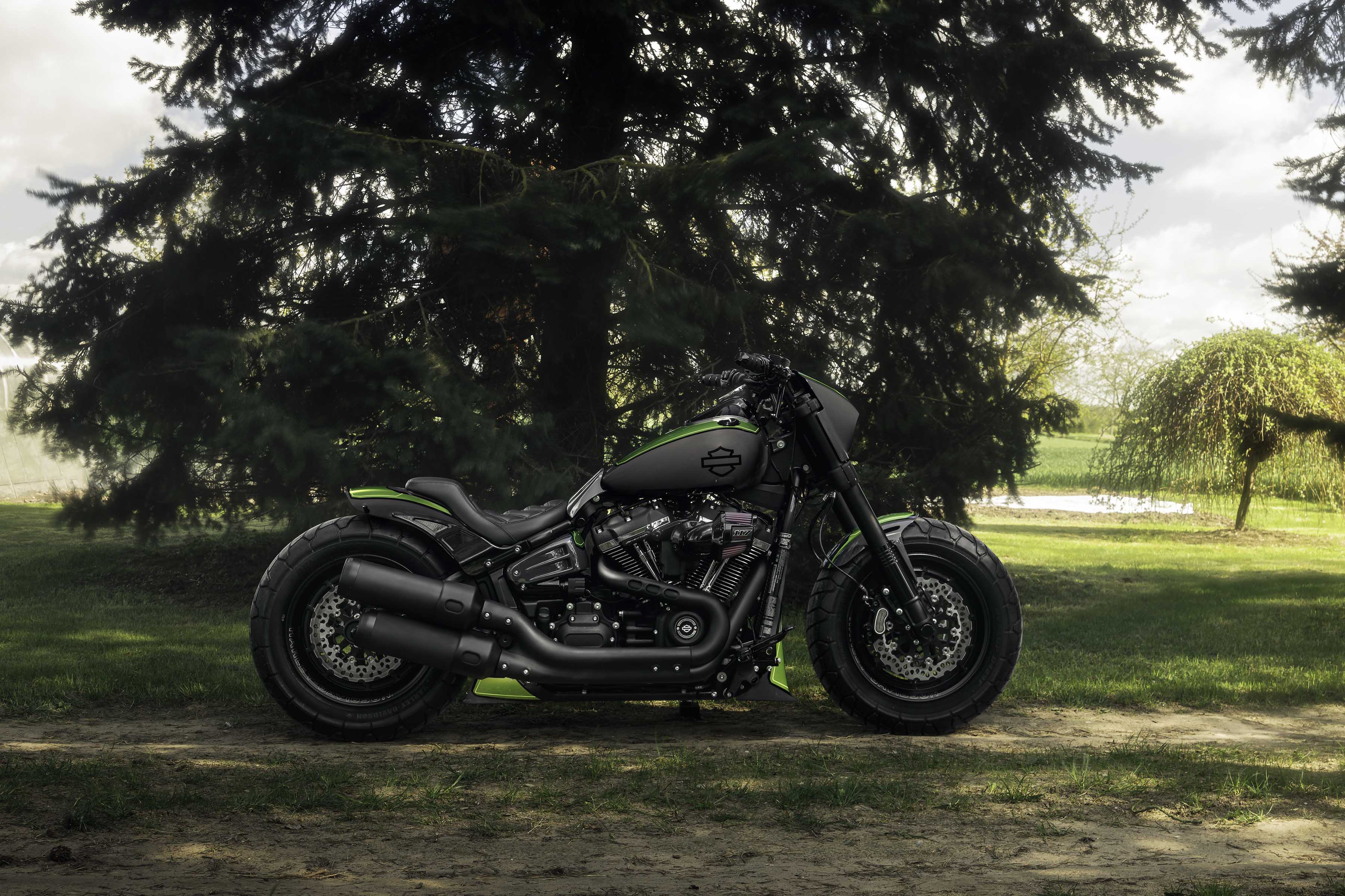 Killer Custom Harley Davidson Parts