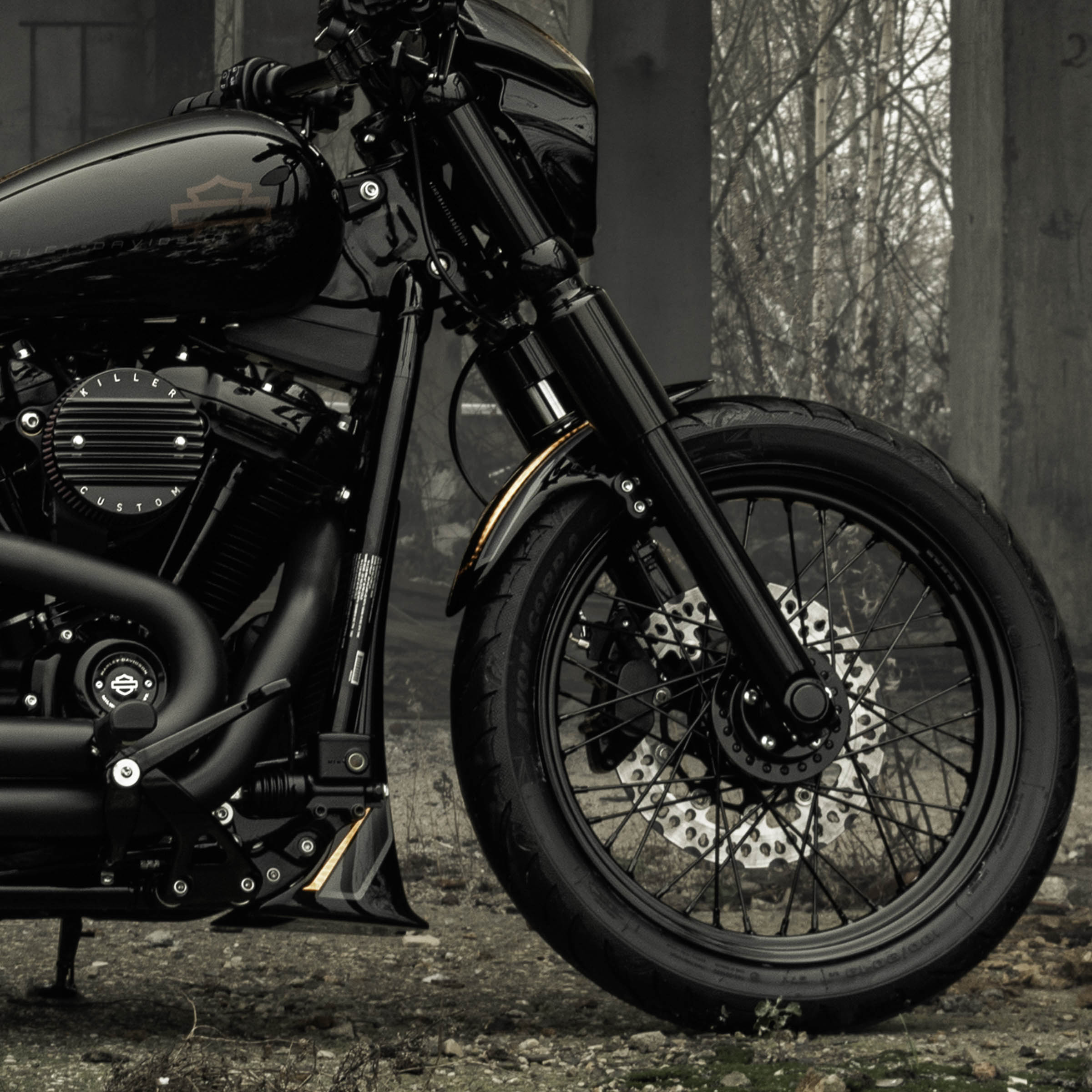 2022 H-D STREET BOB FXBBS 114 