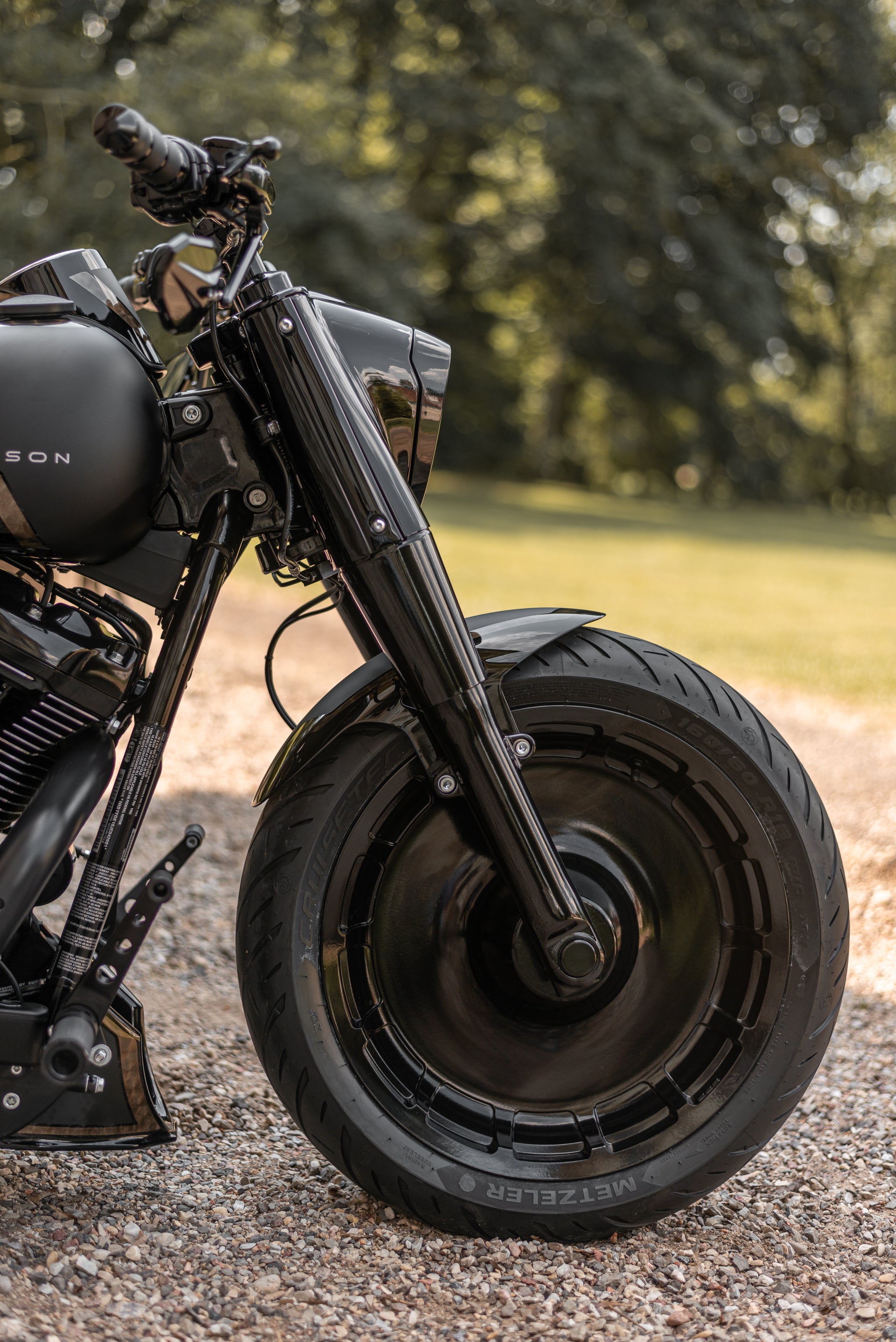 Custom fatboy store front fender